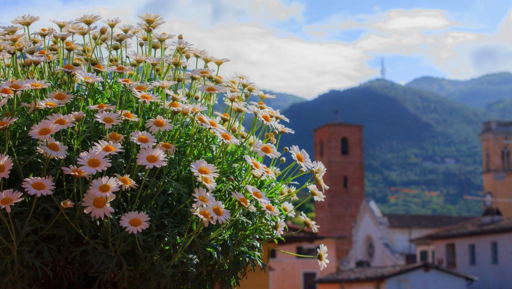 Hotel Palagi Pietrasanta Cameră foto